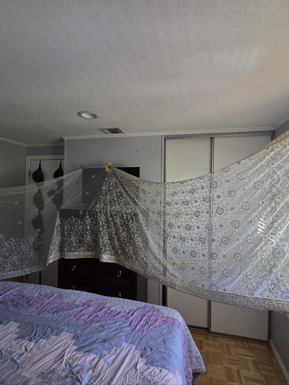 Elegant White Lace And Silver Indian Sari